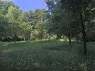 Grünanlage Uferzone Parksiedlung - Streuobstwiese