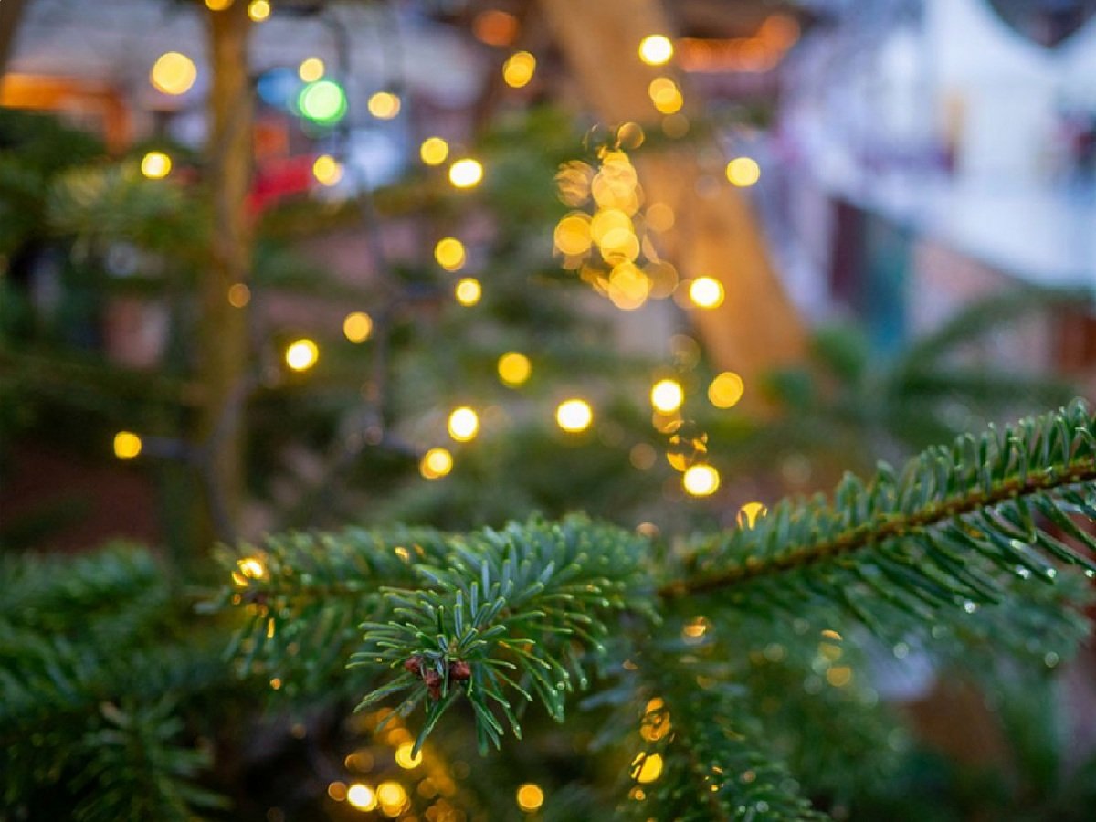 „De Lütte Wiehnacht“